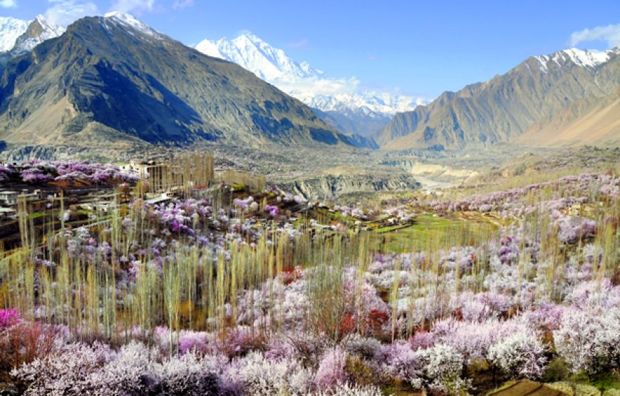 Hunza Nagar Blossom Tour