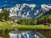 Fairy Meadows Trek