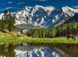 Fairy Meadows Trek