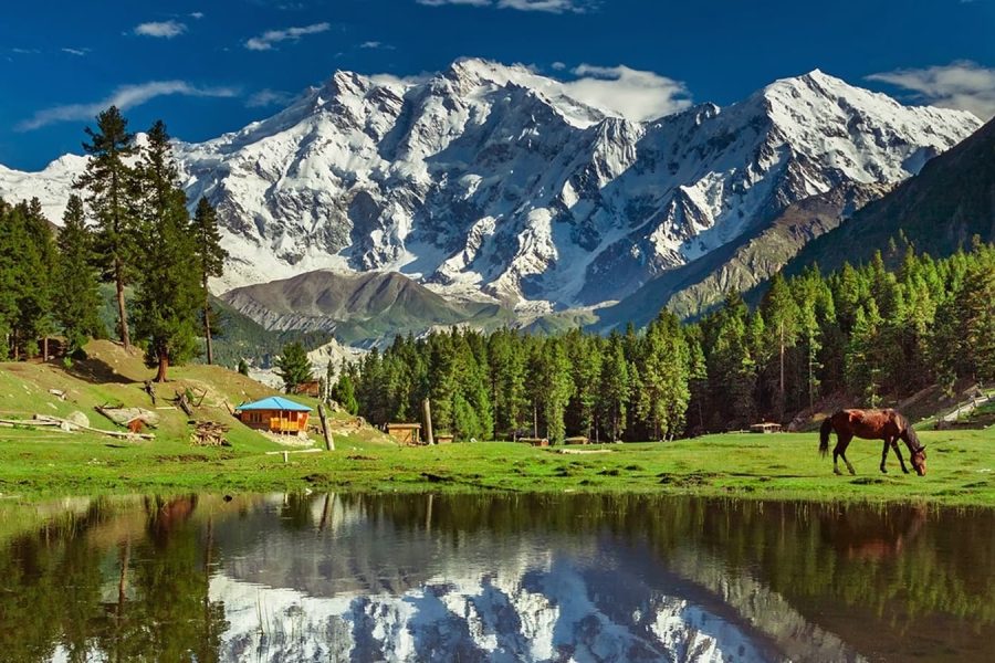 Fairy Meadows Trek