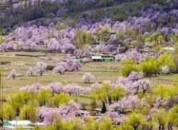 Skardu Spring Blossom Tour