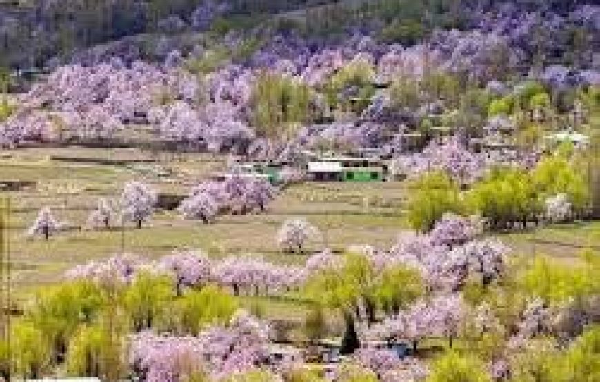 Skardu Spring Blossom Tour